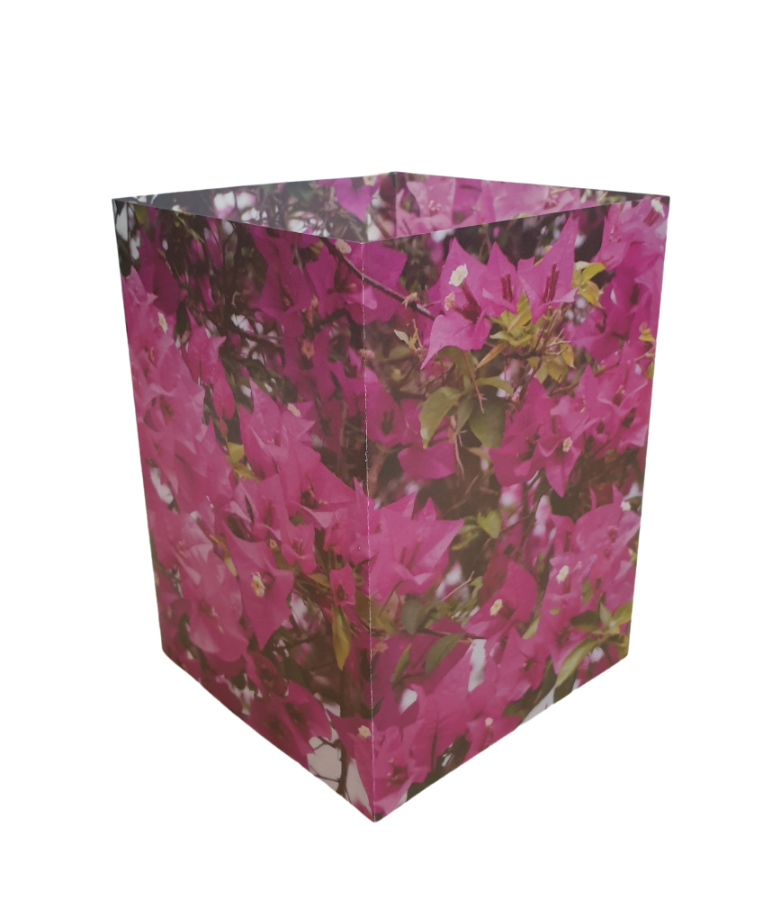 Lichterkarte „Bougainvillea"