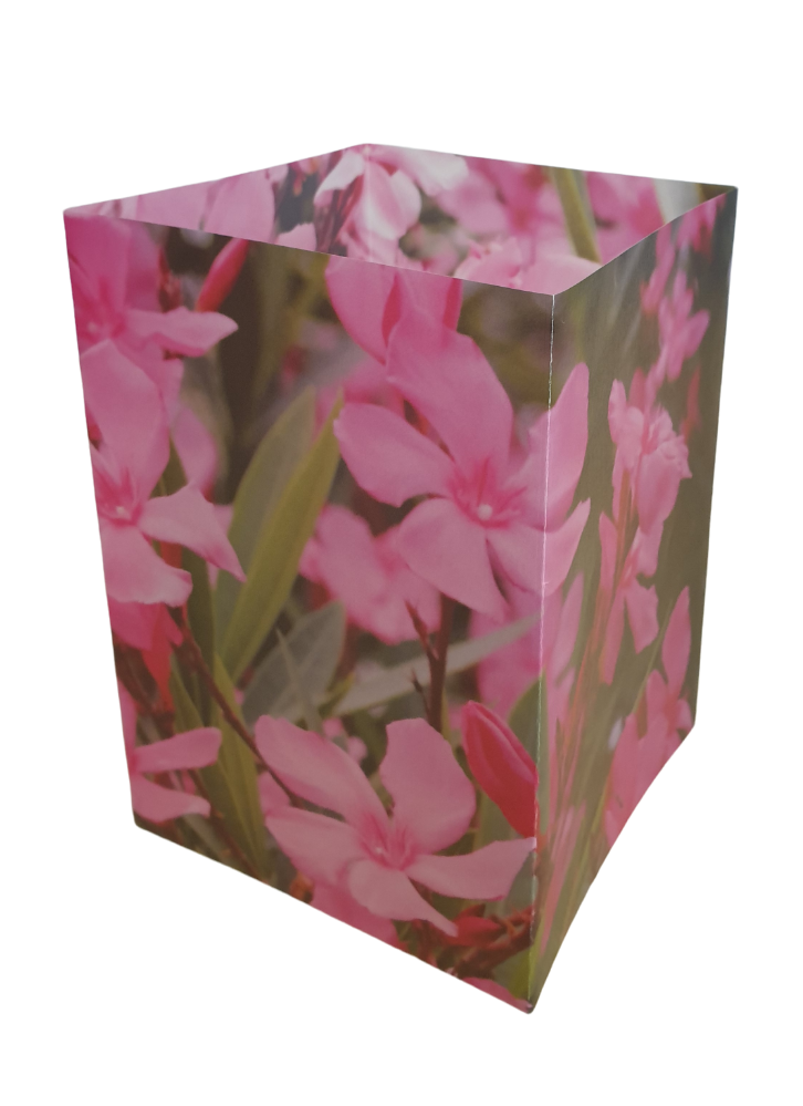 Lichterkarte „Oleander"